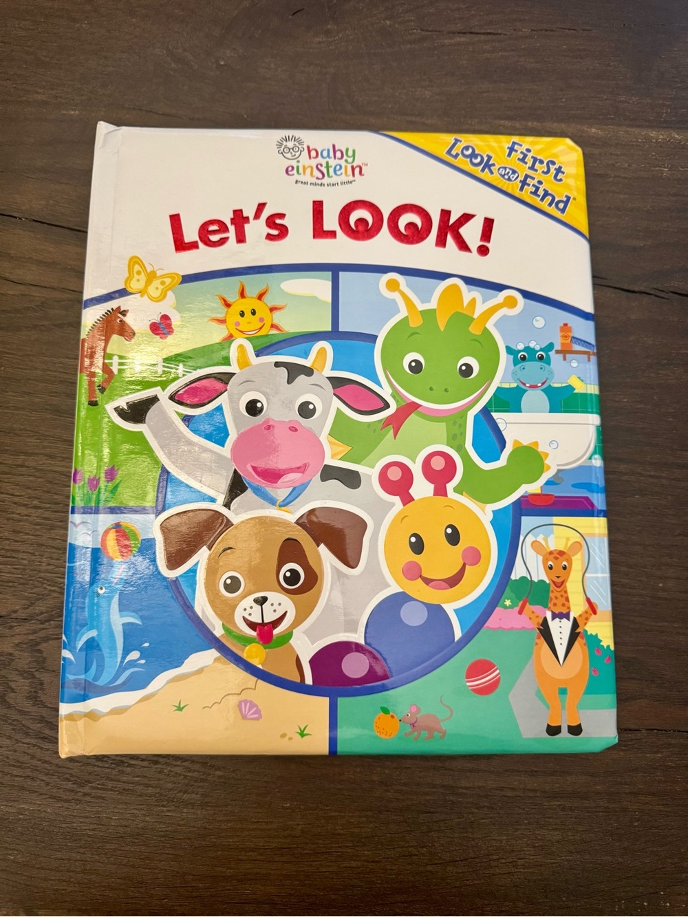 Baby Einstein First Look and Find Book